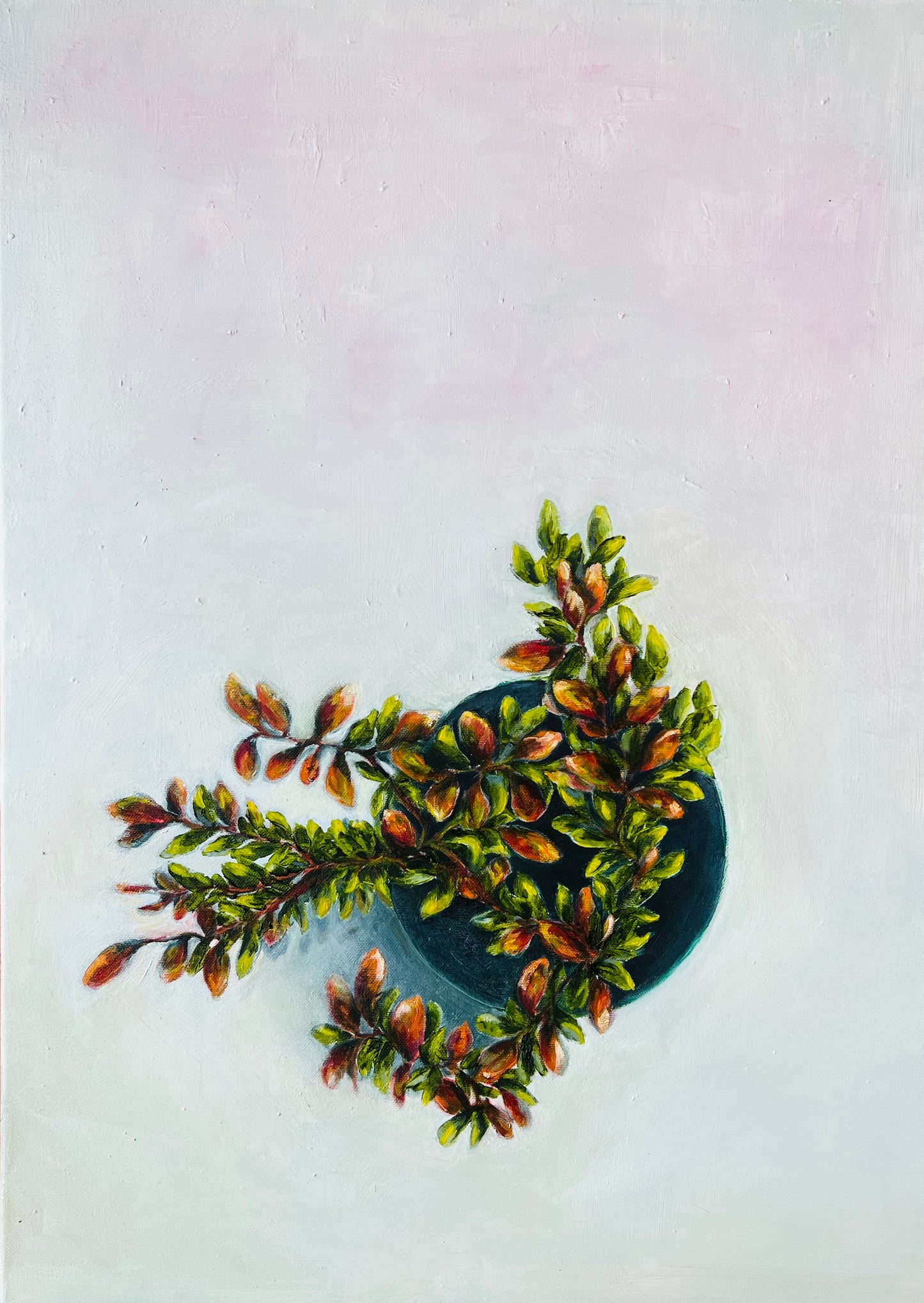 Fall - Ingibjörg Hauksdóttir