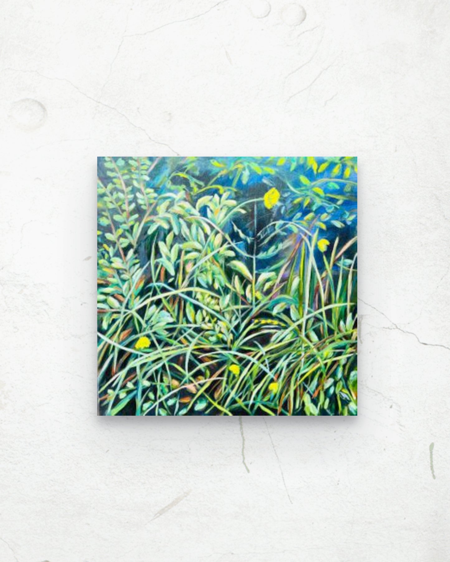 Lággróður / Undergrowth