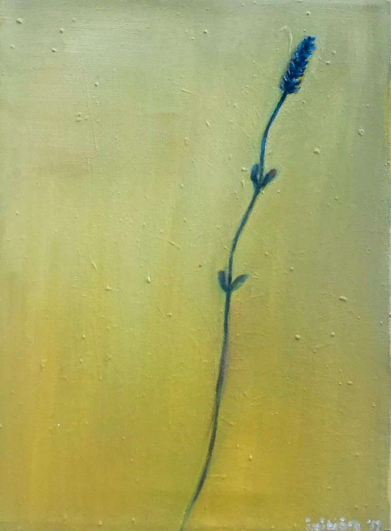 Lavender - Ingibjörg Hauksdóttir