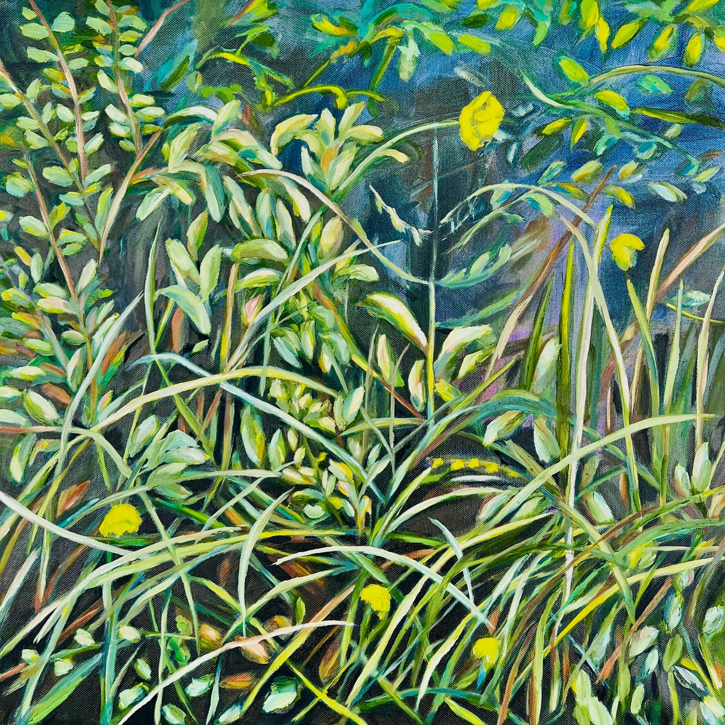 Botanical oil painting Lággróður / Undergrowth by Ingibjörg Hauksdóttir, lit grasses and buttercups on a dark teal ground