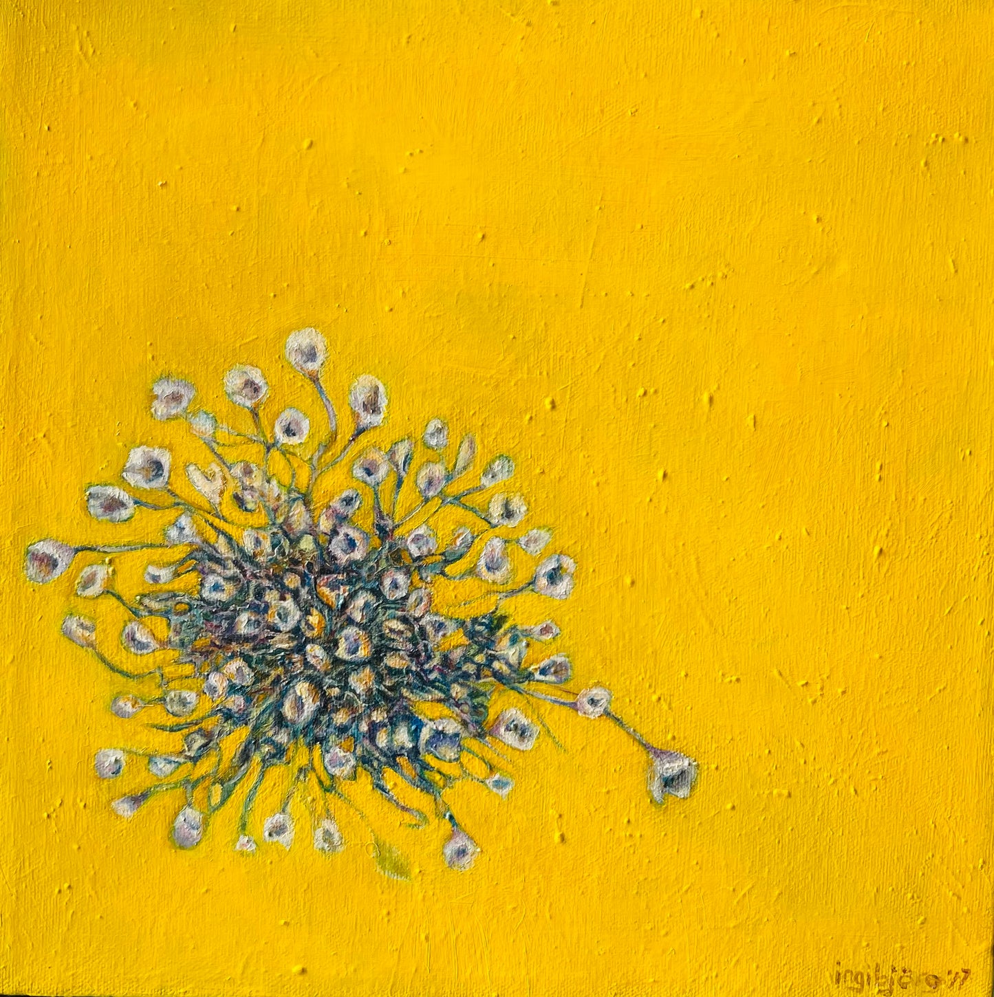 White flowerbed on yellow - Ingibjörg Hauksdóttir