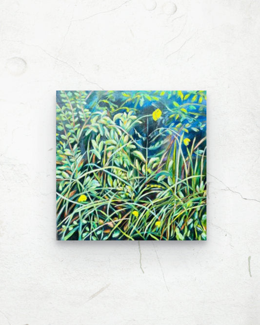 Lággróður / Undergrowth